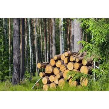 Lais Puzzle - Holzhaufen - 2.000 Teile