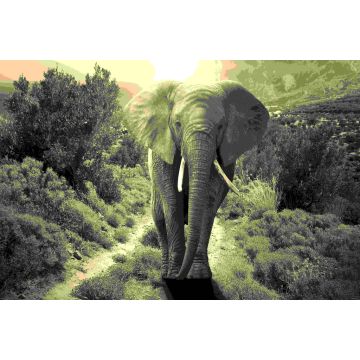 Lais Puzzle - Elefant sepia - 2.000 Teile