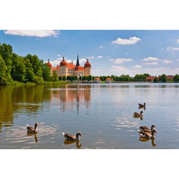 Lais Puzzle - Blick auf Schloss Moritzburg - 2.000 Teile