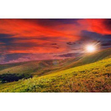 Lais Puzzle - Waldpanorama im Sonnenlicht - 2.000 Teile