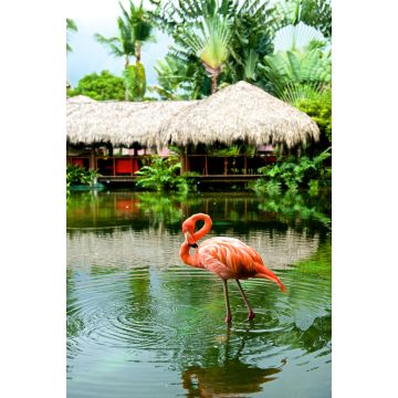 Lais Puzzle - Flamingo - 2.000 Teile