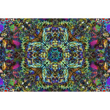 Lais Puzzle - Unmöglich, psychedelische Farben - 2.000 Teile