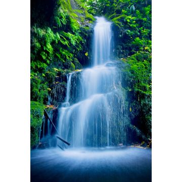 Lais Puzzle - Lush Wasserfall - 2.000 Teile