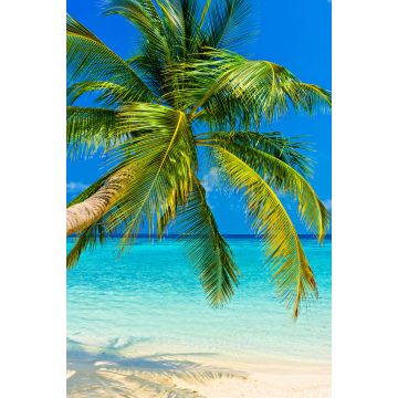 Lais Puzzle - Tropischer Strand - 2.000 Teile