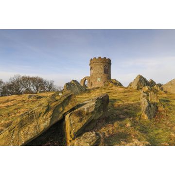 Lais Puzzle - Der alte John im Bradgate Park, England - 2.000 Teile