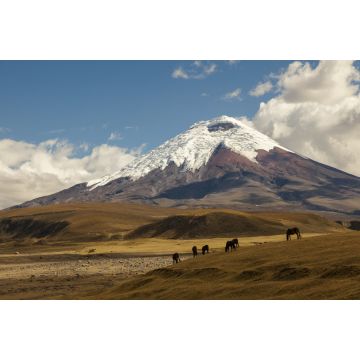 Lais Puzzle - Vulkan Cotopaxi und Wildpferde, Ecuador - 2.000 Teile