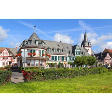 Lais Puzzle - Oestrich-Winkel (Rheingau) - Sommer 2014 - 2.000 Teile