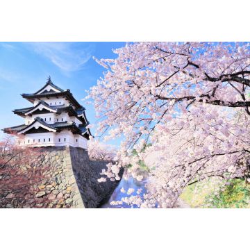 Lais Puzzle - Schloss Hirosaki, Japan - 2.000 Teile