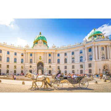 Lais Puzzle - Alte Hofburg, Wien, Österreich - 2.000 Teile