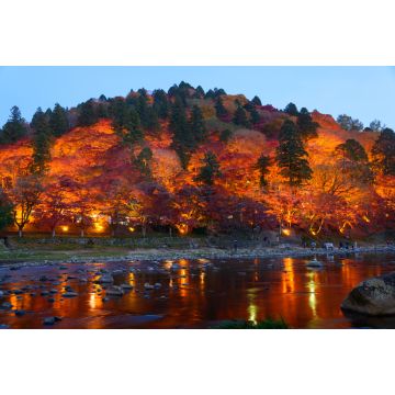 Lais Puzzle - Herbstlaub in Korankei, Aichi, Japan - 2.000 Teile