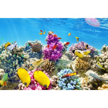 Lais Puzzle - Unterwasserwelt mit Korallen und tropischen Fischen, Queensland, Australien - 2.000 Teile