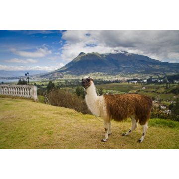 Lais Puzzle - Imbabura, Ecuador - 2.000 Teile