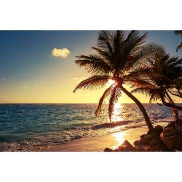 Lais Puzzle - Palme am Tropischen Strand - 2.000 Teile