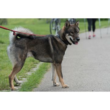 Lais Puzzle - Shikoku - 2.000 Teile