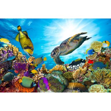 Lais Puzzle - Unterwasser Fische Tropen - 2.000 Teile