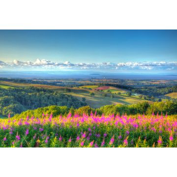 Lais Puzzle - Quantock Hills in Somerset, England - 2.000 Teile