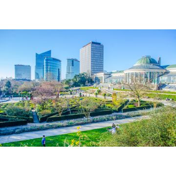 Lais Puzzle - Der Jardin Botanique und moderne Wolkenkratzer in Brüssel, Belgien - 2.000 Teile