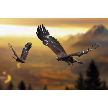 Lais Puzzle - Adler / Steinadler im Flug - 2.000 Teile