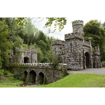 Lais Puzzle - Türme und Eingang von Ballysaggartmore in Waterford in Irland - 2.000 Teile