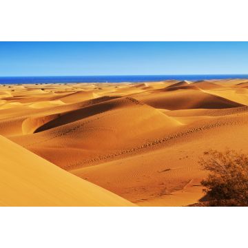 Lais Puzzle - Naturreservat der Dünen von Maspalomas, auf Gran Canaria, Spanien - 2.000 Teile