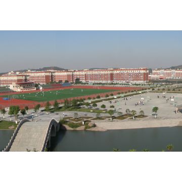 Lais Puzzle - Anhui Universität, China - 2.000 Teile