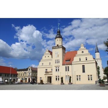 Lais Puzzle - Rathaus und Marktplatz in Coswig (Anhalt) - 2.000 Teile
