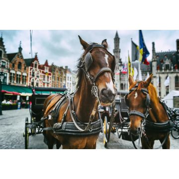 Lais Puzzle - Pferdekutschen in Brügge, Belgien - 2.000 Teile