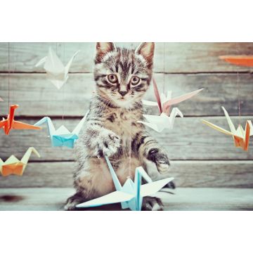 Lais Puzzle - Kleine Katze spielt mit bunten Papierkränen - 2.000 Teile