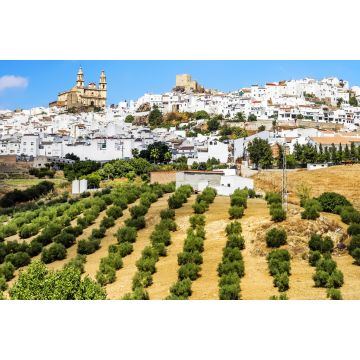 Lais Puzzle - Pueblo Blancos - Olvera, Cadiz, Andalusien, Spanien - 2.000 Teile