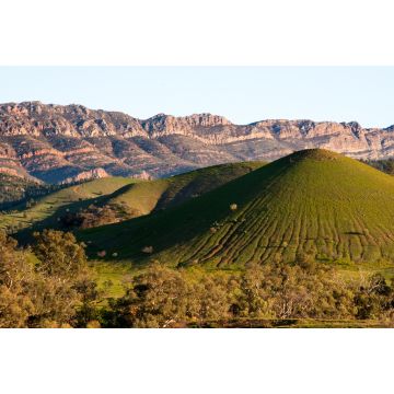 Lais Puzzle - Szene in Flinders Ranges Australien - 2.000 Teile