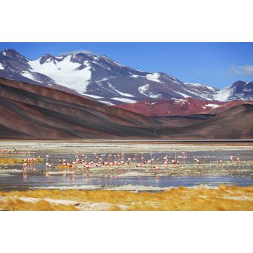 Lais Puzzle - Schwarze Lagune (Laguna Negra), Vulkan Pissis, Catamarca, Argentinien - 2.000 Teile