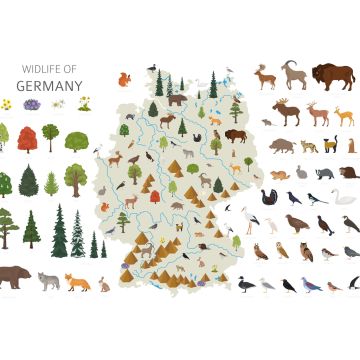 Lais Puzzle - Deutschlands Tierleben - 2.000 Teile