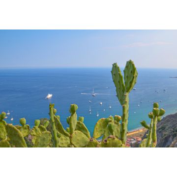 Lais Puzzle - Kakteen am Meer - 2.000 Teile