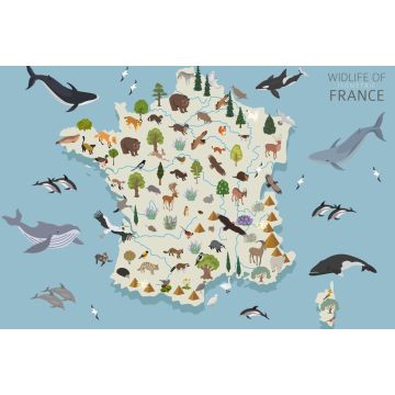 Lais Puzzle - Frankreichs Tierleben - 2.000 Teile