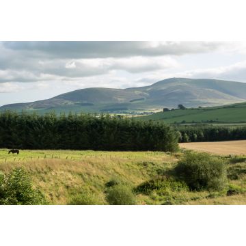 Lais Puzzle - Tinto hill South Lanarkshire - 2.000 Teile