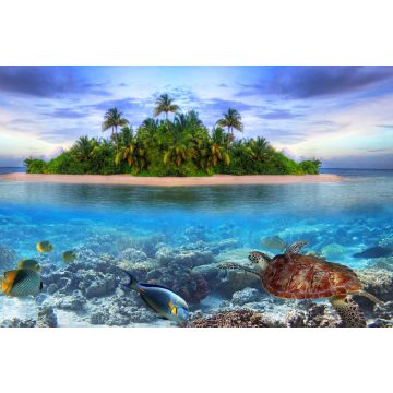 Lais Puzzle - Schildkröte / Wasserschildkröte vor Malediven - 2.000 Teile