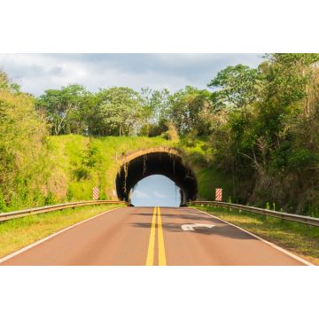 Lais Puzzle - Ein Blick auf den Ökodukt (eine Wildtierbrücke) an der Nationalstraße 101 in Argentinien (Provinz Misiones) - 2.000 Teile