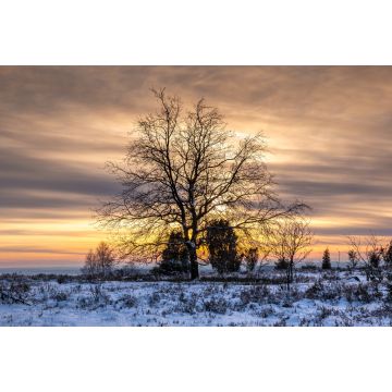 Lais Puzzle - Blick auf den Naturpark Lüneburg, Lüneburg, Niedersachsen, Deutschland. - 2.000 Teile