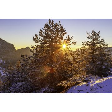 Lais Puzzle - Verschneite Winterlandschaft im Norden Griechenlands, in der Region Grevena, Mazedonien - 2.000 Teile