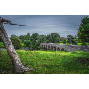 Lais Puzzle - Alte Bective Bridge aus dem 12. Jahrhundert mit Steinbogen über den Fluss Boyne mit großem Baumstamm, umgeben von grünen Feldern und Wäldern, Grafschaft Meath, Irland - 2.000 Teile
