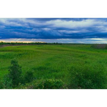 Lais Puzzle - der fluss bermejo, der die provinzen chaco und formosa in argentinien teilt - 2.000 Teile