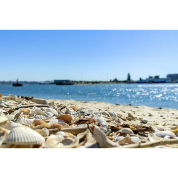 Lais Puzzle - Strand am Morgen, in Seixal, Portugal - 2.000 Teile