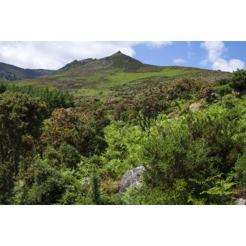 Lais Puzzle - Überquerung der Hänge der Comeragh Mountains, Irland - 2.000 Teile