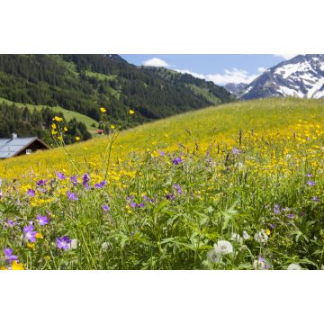 Lais Puzzle - Kleinwalsertal in Österreich - 2.000 Teile