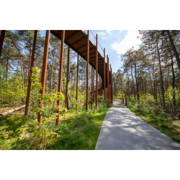 Lais Puzzle - Fahrrad in den Bäumen in Lommel Belgien Flandern - 2.000 Teile