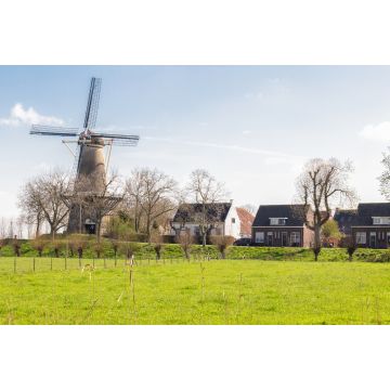 Lais Puzzle - Blick auf die Windmühle 'Prins van Oranje' des malerischen alten Dorfes Buren in Neder-Betuwe, Gelderland, Niederlande. - 2.000 Teile