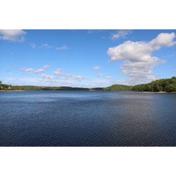 Lais Puzzle - Naturschutzgebiet Rådasjön in Mölndal, Göteborg Schweden - 2.000 Teile