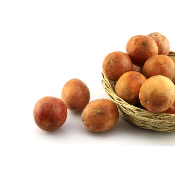 Lais Puzzle - Passionsfrucht in Holzkorb - 2.000 Teile