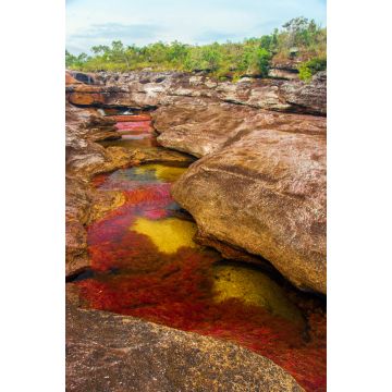 Lais Puzzle - Ein vielfarbiger Fluss in Kolumbien - 2.000 Teile