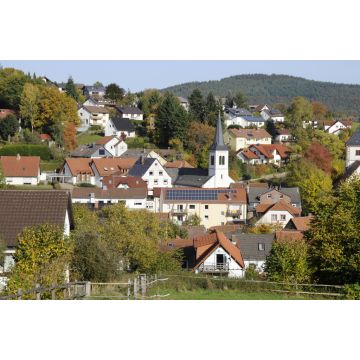 Lais Puzzle - Wald-Michelbach - 2.000 Teile